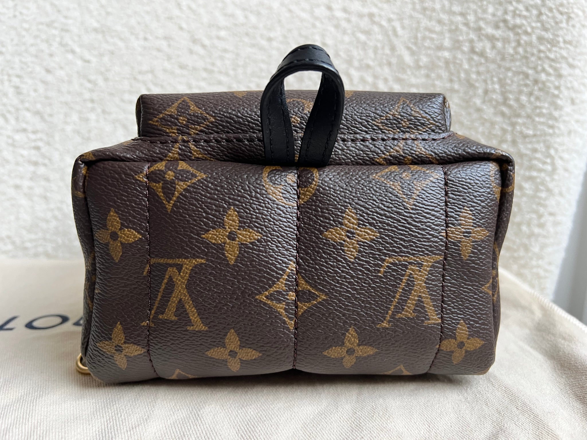 Backpack Comparison Louis Vuitton Mini Palm Springs Backpack Price