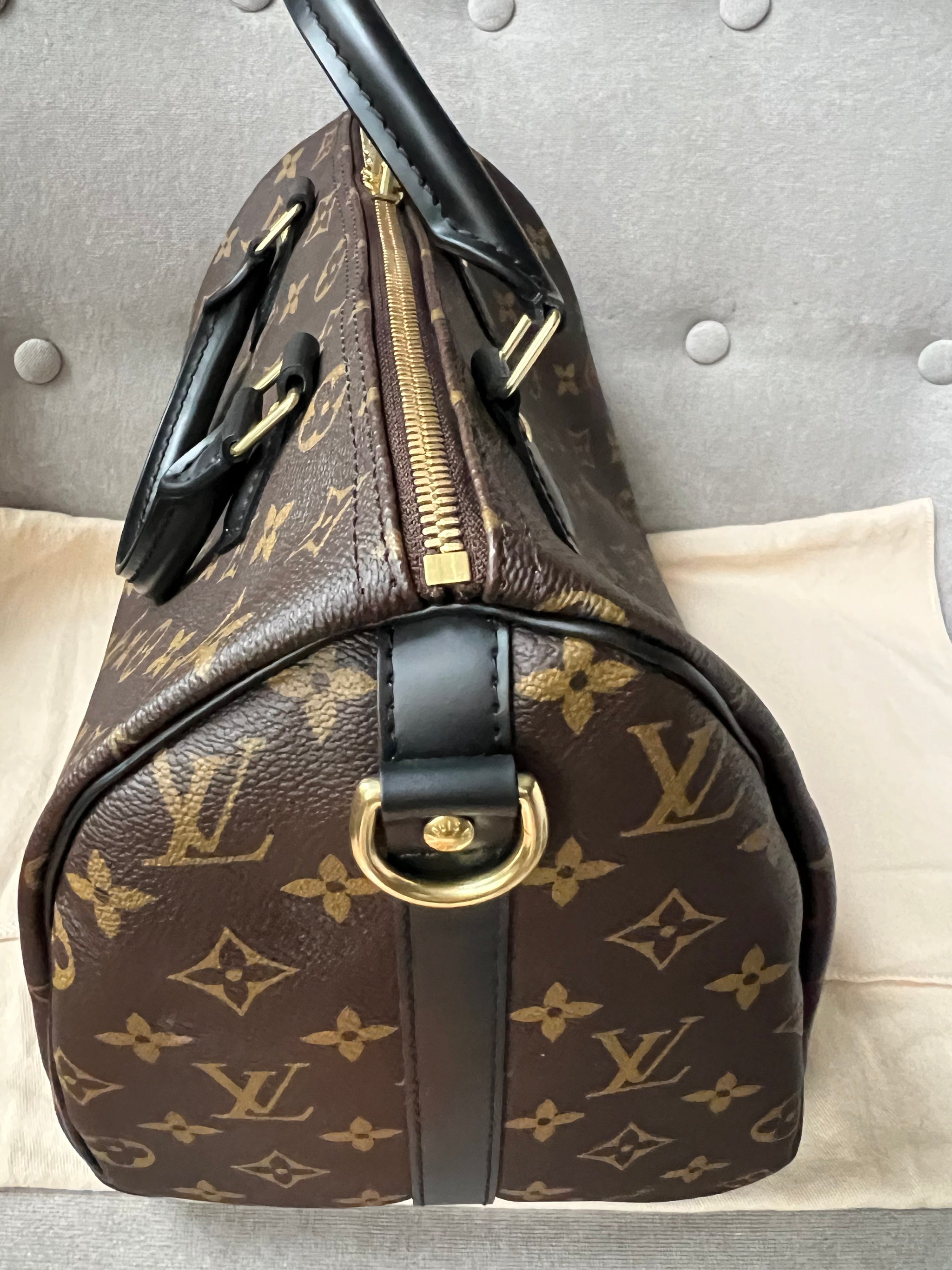 Louis vuitton world tour speedy black handles hotsell