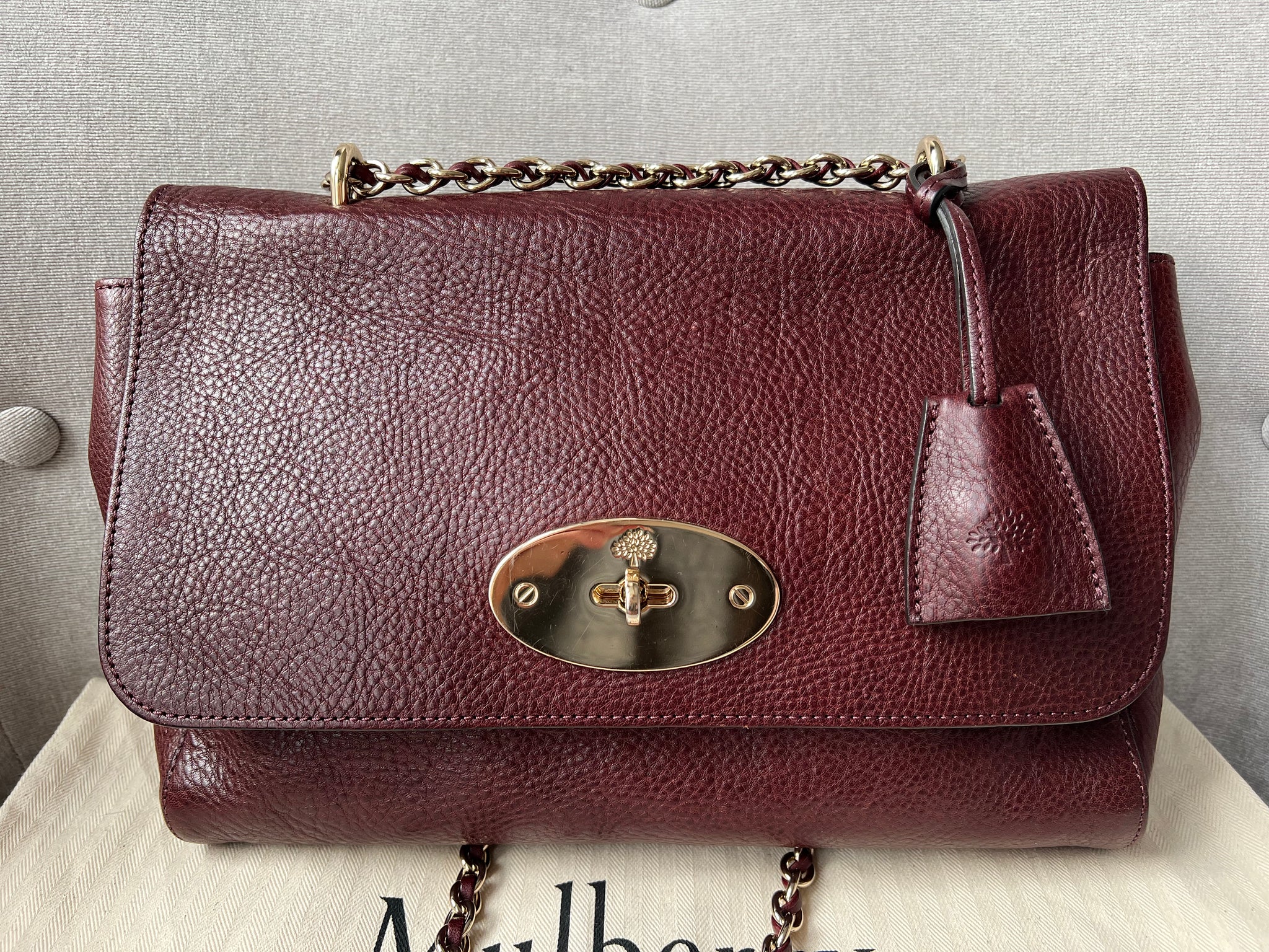 Medium lily oxblood sale