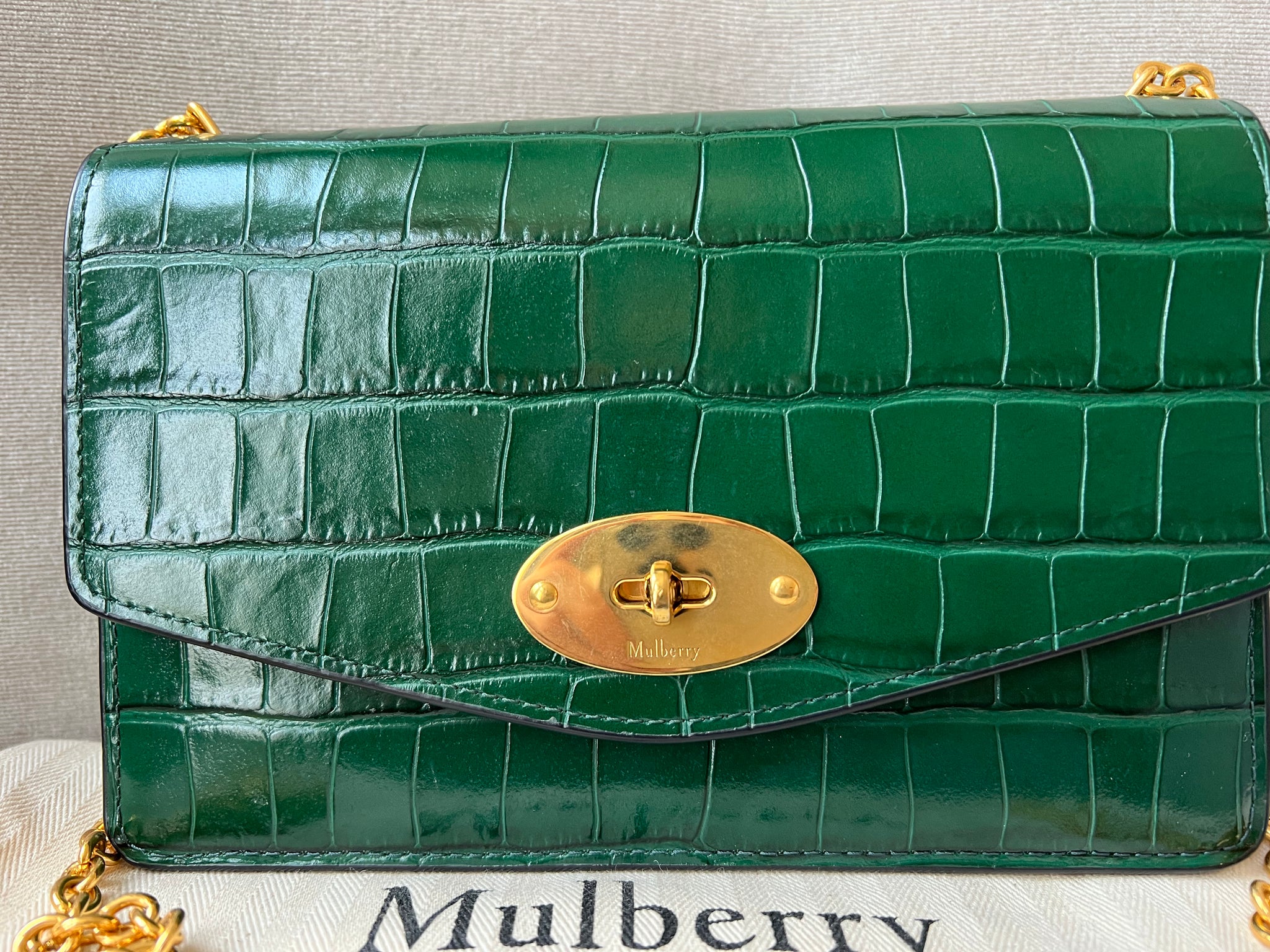 Mulberry Small Jungle Green Shiny Croc Darley Shoulder Bag RRP 685 Addicted to Handbags